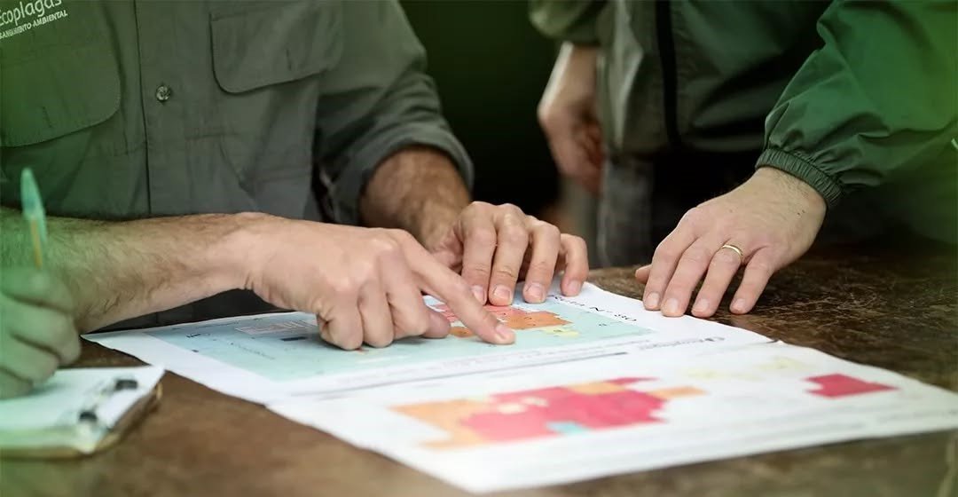 Equipo de Ecoplagas analizando un mapa de riesgos en planta